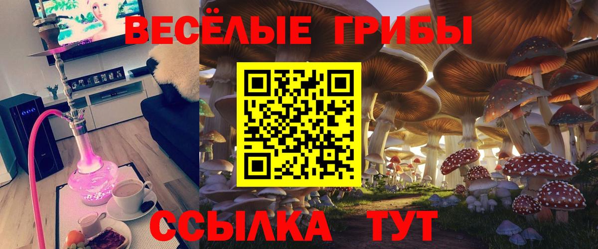 Галлюциногенные грибы MAGIC MUSHROOMS Спасск-Дальний