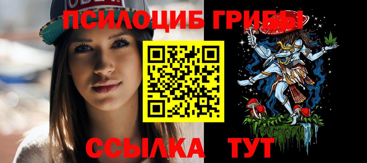 Псилоцибиновые грибы Psilocybine cubensis  Вход с VPN  купить   Спасск-Дальний 